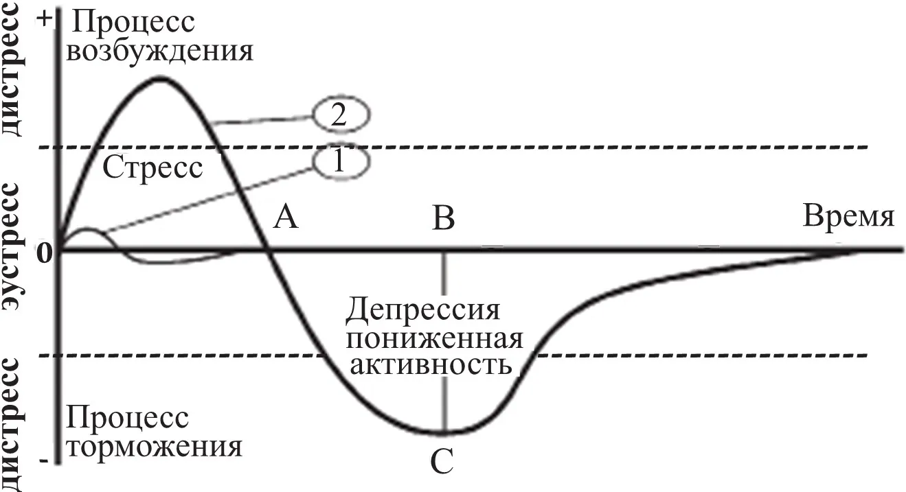 screen_image_16_217_50