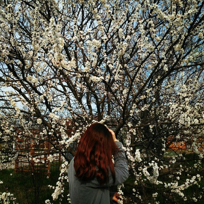 Аватар (Алиса Кот)